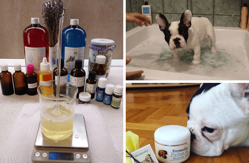 Kako primijeniti aromaterapiju kod pasa?